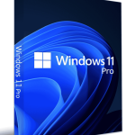 Windows 11 Professional